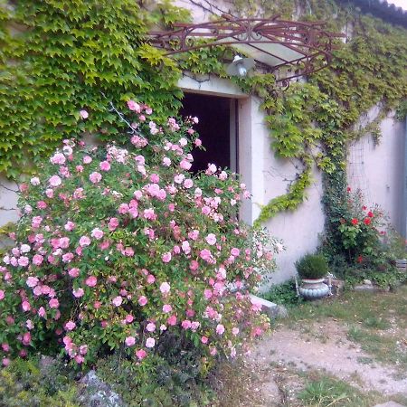 Le Domaine De Belle Bed & Breakfast ลีล-ซูร์-ลา-ซอร์ก ภายนอก รูปภาพ