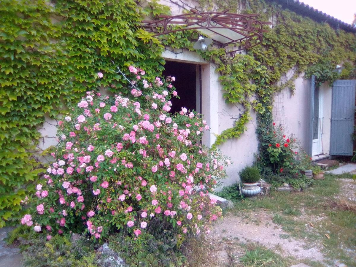 Le Domaine De Belle Bed & Breakfast ลีล-ซูร์-ลา-ซอร์ก ภายนอก รูปภาพ