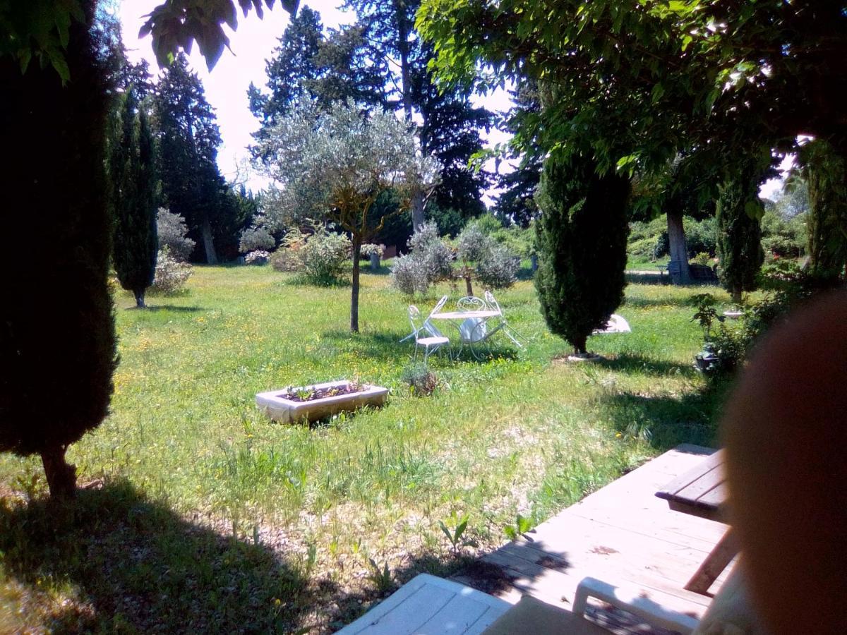 Le Domaine De Belle Bed & Breakfast ลีล-ซูร์-ลา-ซอร์ก ภายนอก รูปภาพ